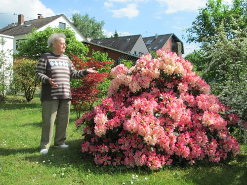 Hilde mit Rhododendron im Garten