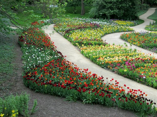 BUGA Rathenow Tulpenbeete auf der Bundesgartenschau 2015 in Rathenow im Havelland